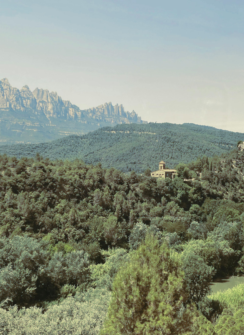 bosques españa